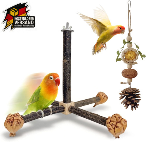Vogelspielzeug wellensittich - vogelspielzeug,