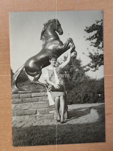 Foto stuttgart killesberg - foto,