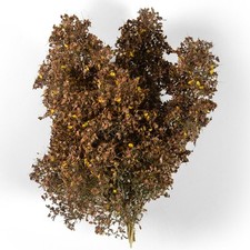 Realistischer filigraner - realistischer,