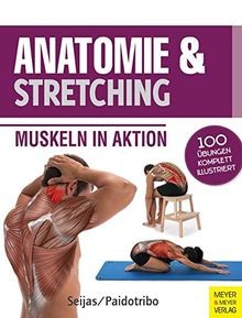 Anatomie stretching - anatomie, (anatomie