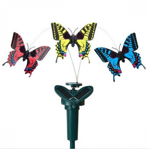 Tanzender solarschmetterling - tanzender,