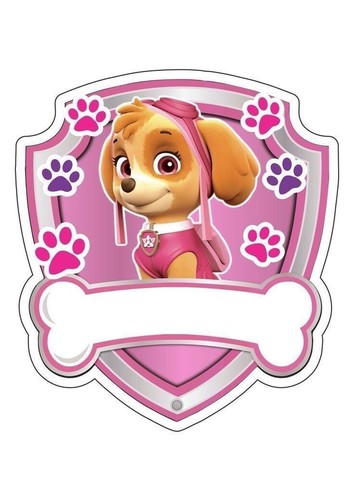 Skye paw patrol - paw, party