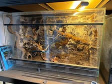 Verkaufe 1 Stück Glas