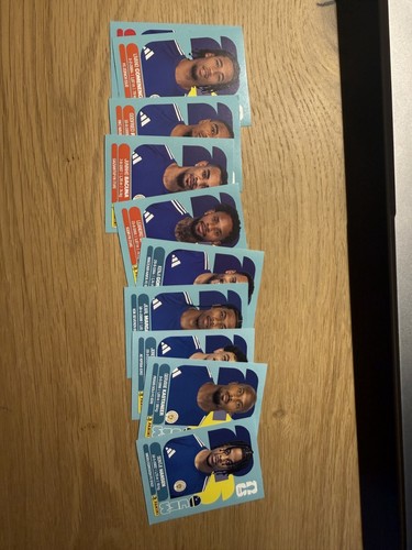 Panini fifa world - fifa, cup