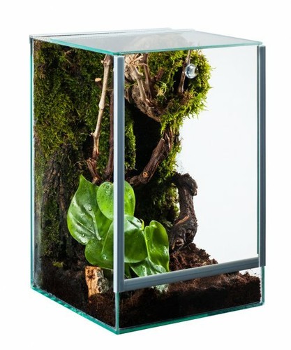 Glas terrarium 20x20x30cm - terrarium,