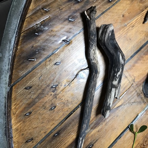 Treibholz schwemmholz holz ast - schwemmholz,