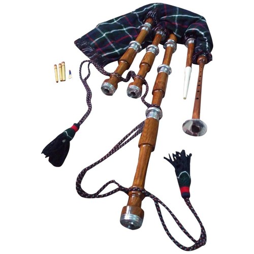 Schottischer großer highland - schottischer,