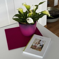 THONET SCHREIBTISCH „MARCEL