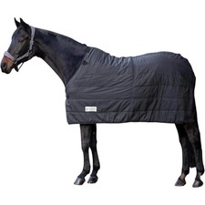 Waldhausen Schwarz 165 cm