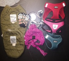 Hunde, Mütze, Socke, Westte