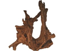 Aquarium-Wurzel Mangroven