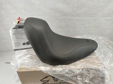 Harley Davidson Softail