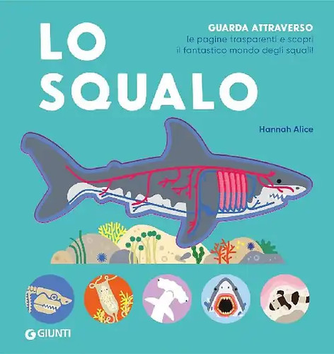 Squalo - lo,