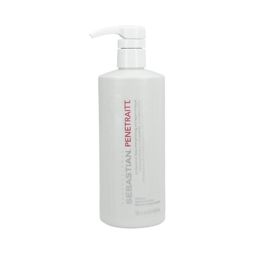 Sebastian penetraitt masque - penetraitt,