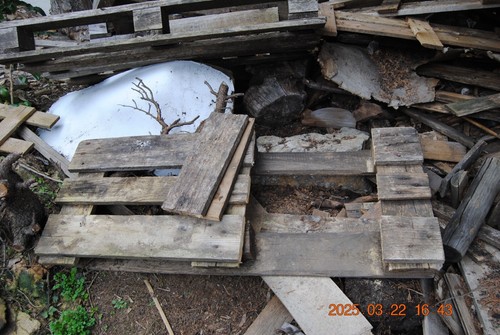 Palettenholz als brennholz - ua,