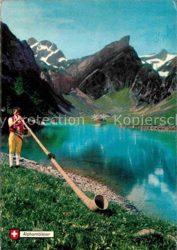 Alphorn alpalphornblaeser - alphorn,