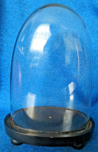 Antiker glassturz glasdom - glassturz,