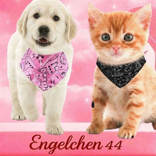 Halstuch hundehalsband - halstuch,