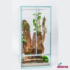 Diversa hochterrarium - diversa,