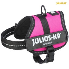 Julius-K9 Powergeschirr PINK