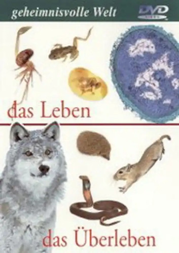 Geheimnisvolle welt das - geheimnisvolle,