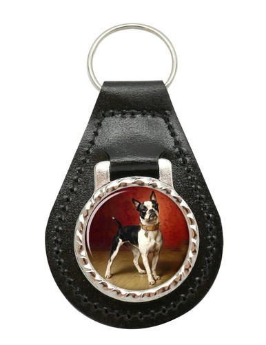 Französische bulldogge von - französische,