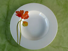 Villeroy & Boch Iceland Poppies . 1 Suppenteller 24,5 cm / TOP- Zustand / V&B