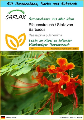 Saflax geschenk set - saflax,