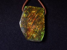 Ammolith Anhänger (Kanada)