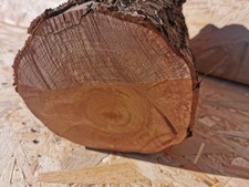 Drechselholz Bastelholz Edelholz Apfel Kirsche Eiche Mirabelle