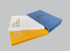 Carlos Cruz-Diez. Die Farbe im