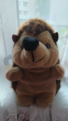 Igel
