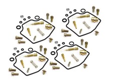 Vergaser Reparatur Satz 4