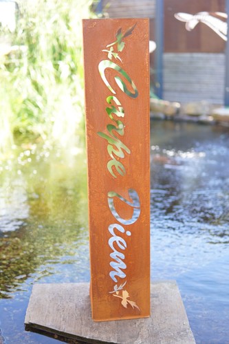 Gartenschild carpe diem - gartenschild,