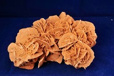 Sandrose Wüstenrose  2,9 kg