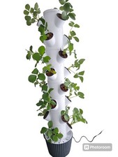 Hydrokultur/Hydroponic/HydroTo