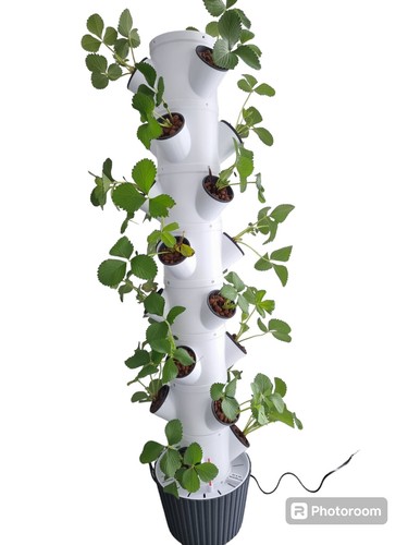 Hydrokultur/Hydroponic/HydroTo