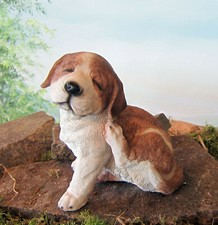 Sitzender Jack Russel Welpe H