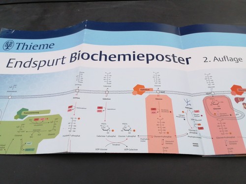 Endspurt biochemieposter - endspurt, 2