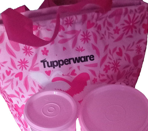 Tupperware lady lunch - lady,