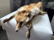 Stola, Pelzschal Rotfuchs