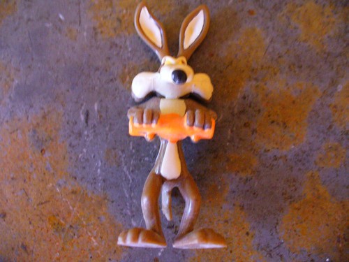 Coyote wile 1 - ,