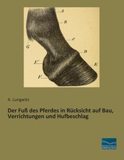 Der Fuß des Pferdes in