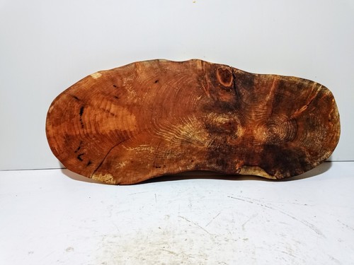 Baumscheibe holzscheibe - , baumscheibe,