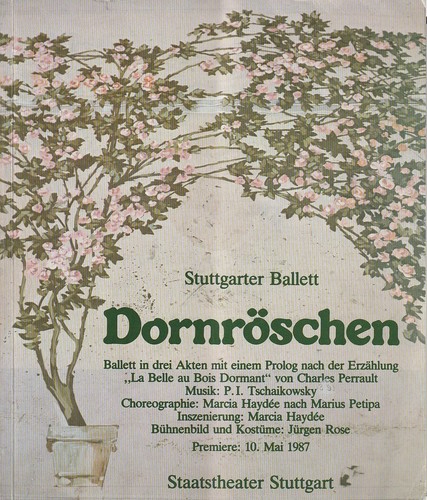 Programmheft ballett pjotr - programmheft,