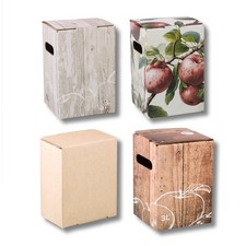 Bag in Box BaginBox BiB Karton