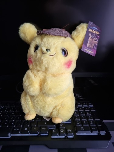 Meister detektiv pikachu - meister,
