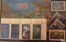 gr. Steckkarte Quallen