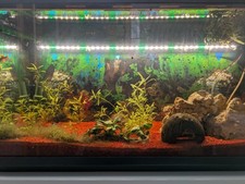 112 Liter Aquarium zu verkaufen