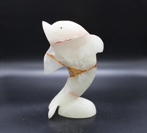Großer delphin delfin - großer,